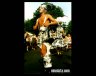 misslata-bunuel-9.jpg