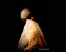 misslata-saints-1.jpg